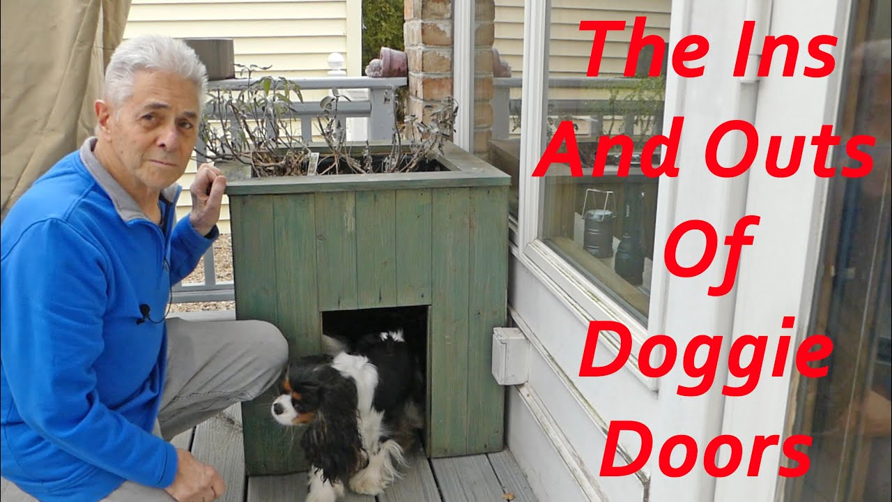 The Ins And Outs Of Doggie Doors