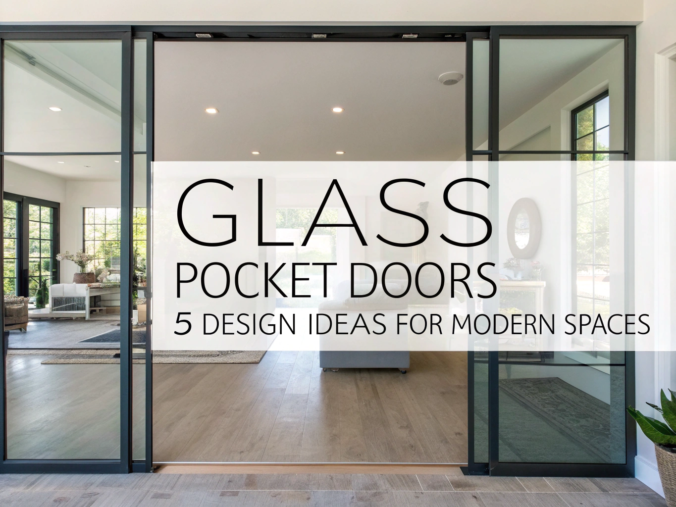 glass pocket doors